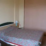 Hotel Ibis Centre Gare Strasburg