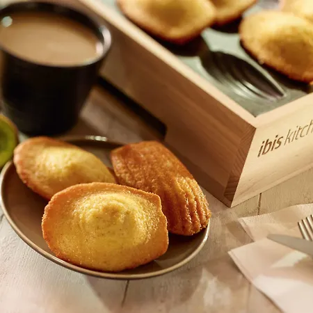 إيبيس سنتر غار فندق