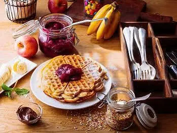 فندق إيبيس سنتر غار 3*